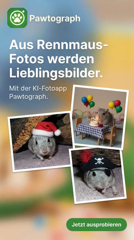 Pawtograph – KI-App für schöne Fotos von Rennmäusen und anderen Haustieren